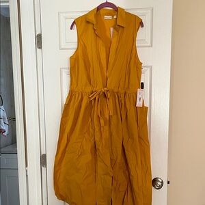 Eva Mendes for New York & Company Mustard Midi Dress